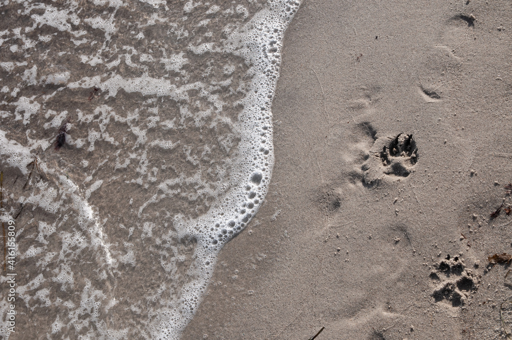 footprints in sand, footprints on the beach