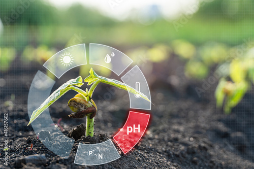 Smart farm technology for detection and control system of Plant sprout growing with red alert icon of pH. Innovation technology for agriculture 4.0