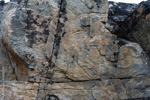 Greenland. Eqip Sermia. Rocks covered by lichen. photo