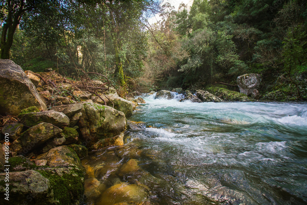 Fototapeta premium Beautiful mountain river stream in the iconic park of Fragas de Sao Simao, Portugal. Natural Park with river stream and beautiful trees in Aldeias de Xisto, Portugal