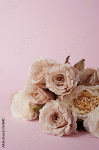 Pastel roses on pink background concept. Copy space. 