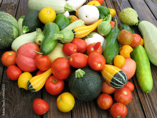 Fototapeta Naklejka Na Ścianę i Meble -  Freshly picked summer harvest of vegetables including tomatoes, cucumbers,squash and eggplant.