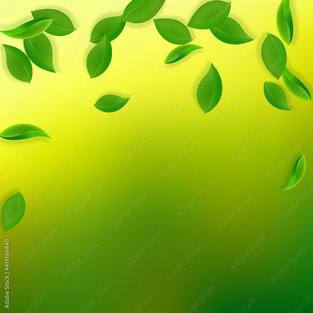 Falling green leaves. Fresh tea neat leaves flying Falling green leaves. Fresh tea neat leaves flying