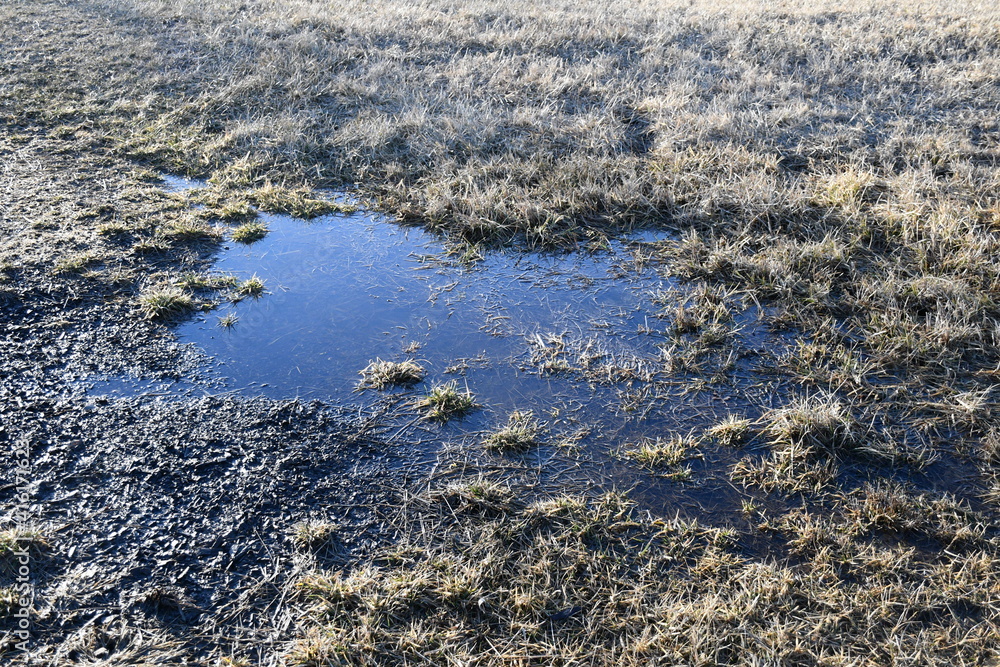 Photography Rain Puddle