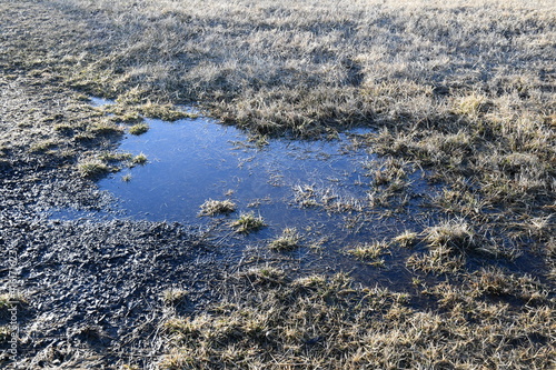 Fényképezés Rain Puddle