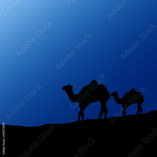 camels in the desert