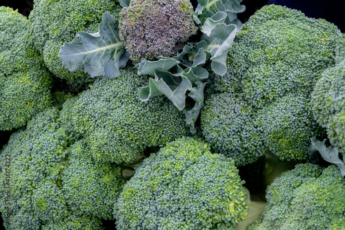 Broccoli, USA