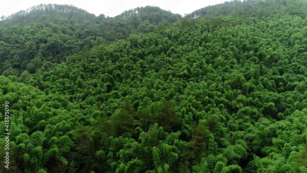 Drone flying forward over a big mountain covered with a green forest in China