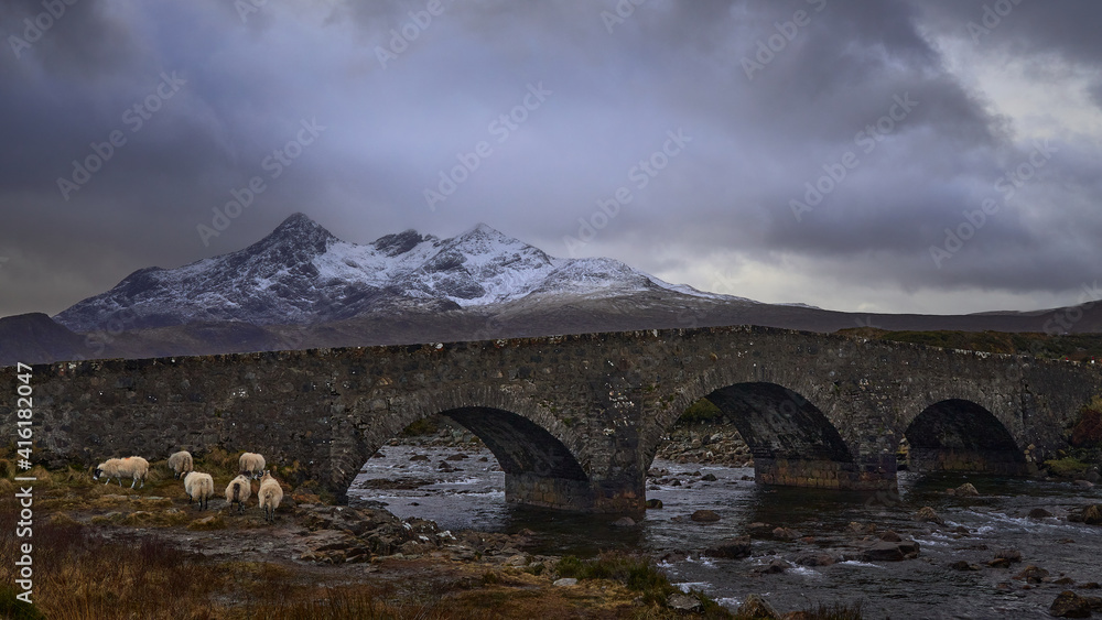 heep on an Old three arched stone bridge over the River Sligachan in Isle of Skye Scotland with Cuillin mountain range in the distance, Isle of Skye, Scotland