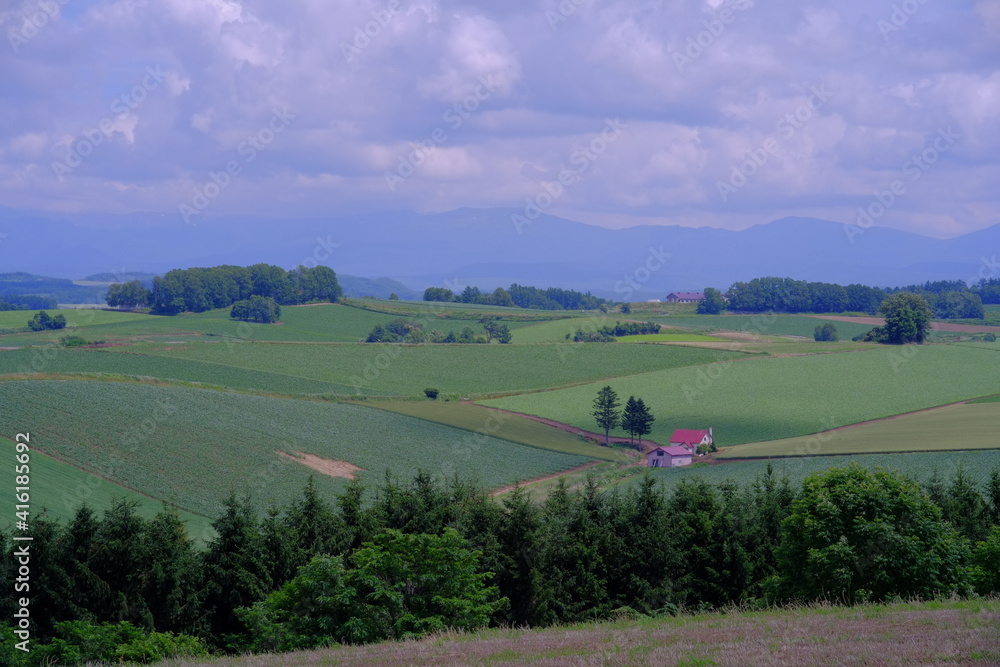 Obraz premium tractor in field