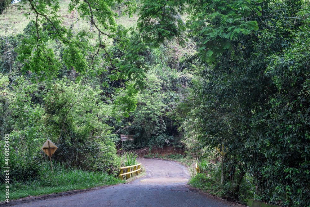 Fototapeta premium road with a bridge in the forest