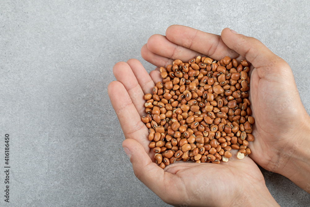 Female hands holding raw brown kidney beans Female hands holding raw brown kidney beans