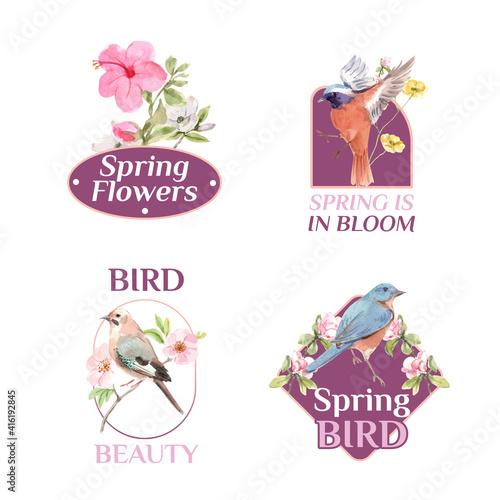Logo design with spring and bird concept for branding and marketing watercolor illustration