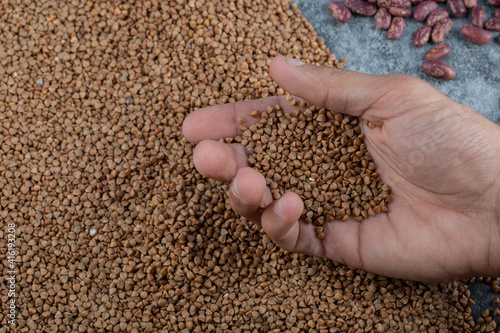 Hand holding unprepared buckwheat beans on a gray background
