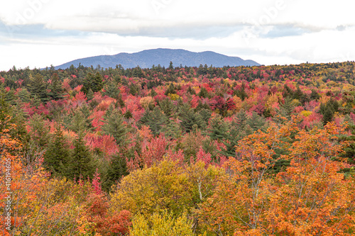 autumn landscape in the mountains © James S. Cowan