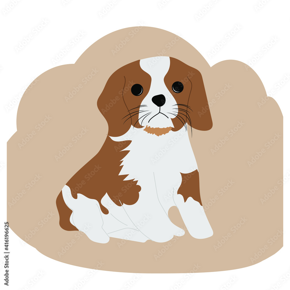 Small dog Springer Spaniel template logo design. Vector illustration Small dog Springer Spaniel template logo design. Vector illustration