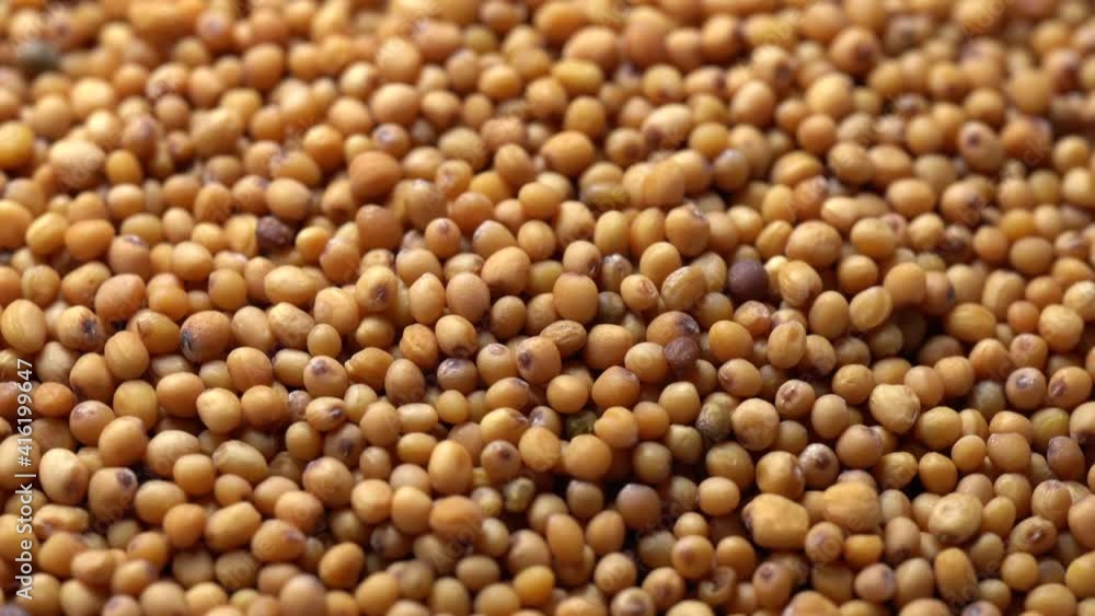 Close-up video of a slowly spinning mustard Close-up video of a slowly spinning mustard