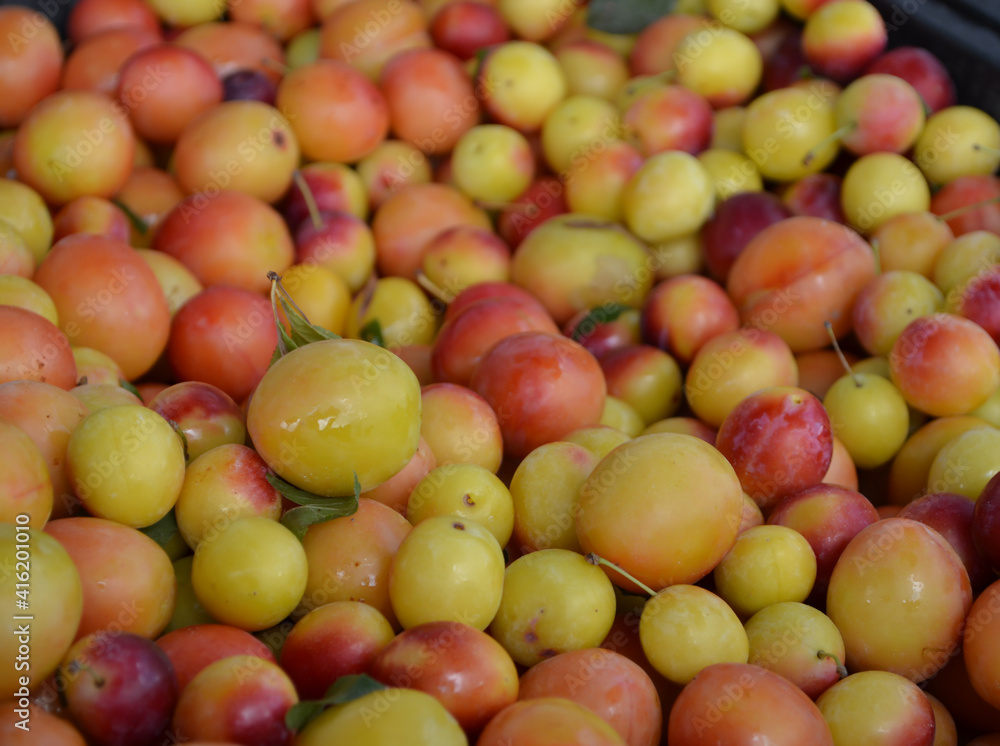 fruit plums