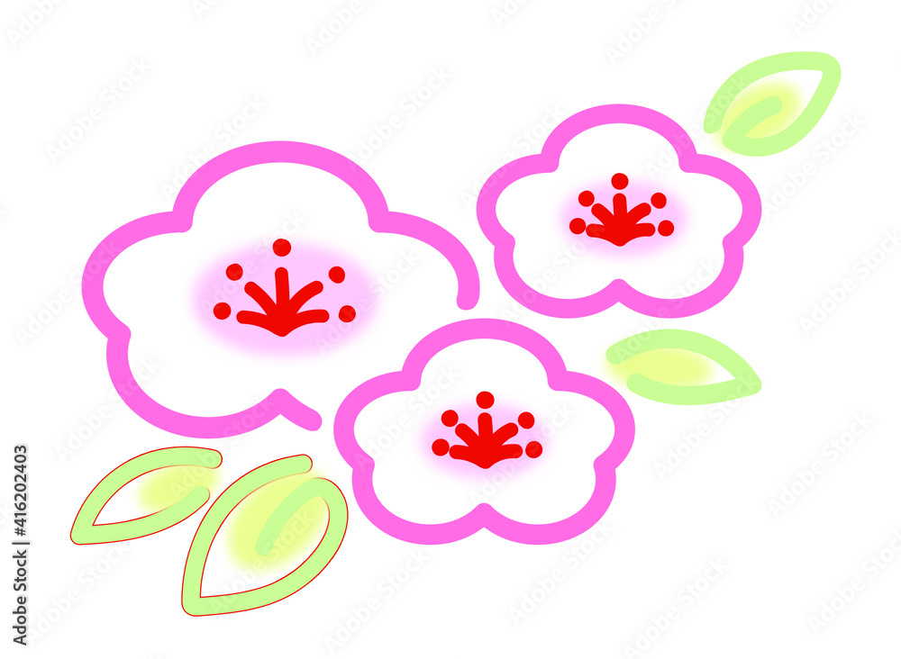 かわいい梅の花のイラスト・白 ピンク