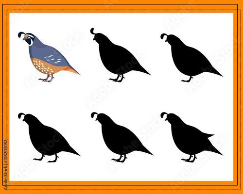 Game for kids find the right shadow. Choose the right shade for the quail. Vector illustration. Isolated on a white background.