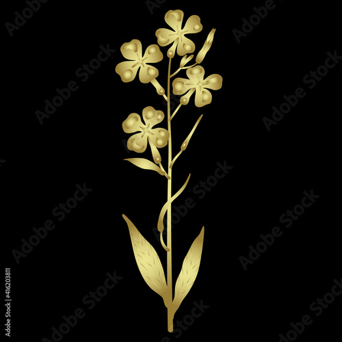 Blooming branch of Hesperis Alba flower. Dame's Rocket. Sweet Rocket. Golden glossy silhouette on black background.