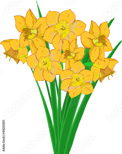 可愛い手書きのオレンジ色の花びらのスイセン