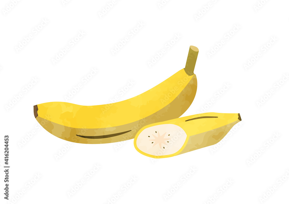 バナナのイラスト　全体図と断面