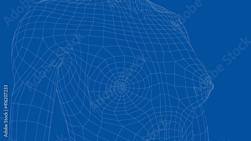 Wireframe female breast. Close-up view