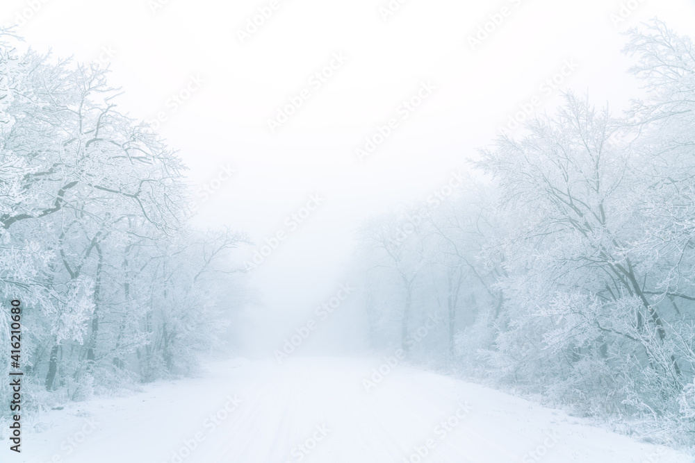 Snowy road in winter forest Snowy road in winter forest