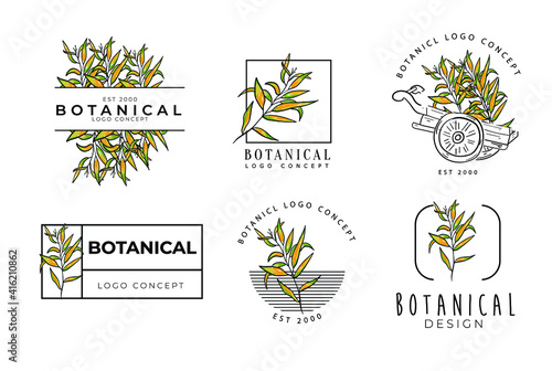 Hand drawn botanical floral logo design in a minimal modern package collection