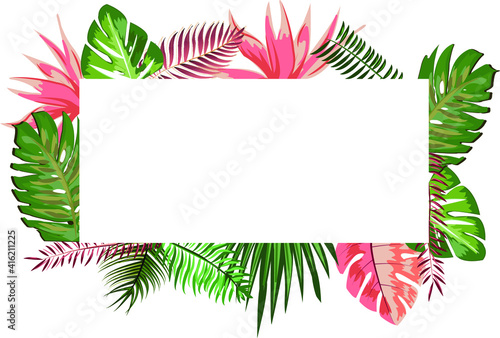 tropical leaves frame for spring time, summer poster, exotic leaves vector illustration frames decoration, botanical banner card