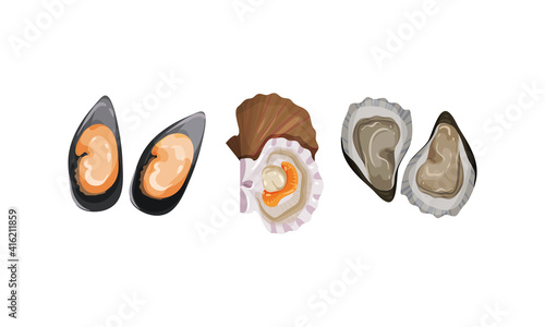 Oyster and Bivalved Mollusk as Seafood and Marine Delicacy Vector Set