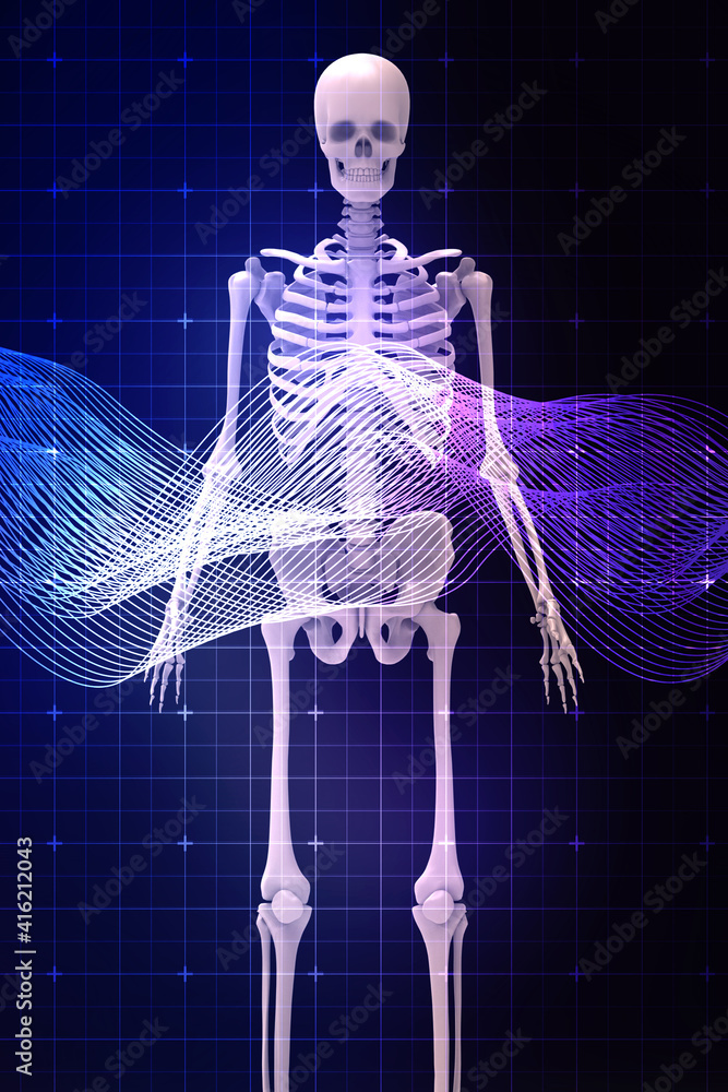 3d renderings of human skeleton Stock Illustration | Adobe Stock