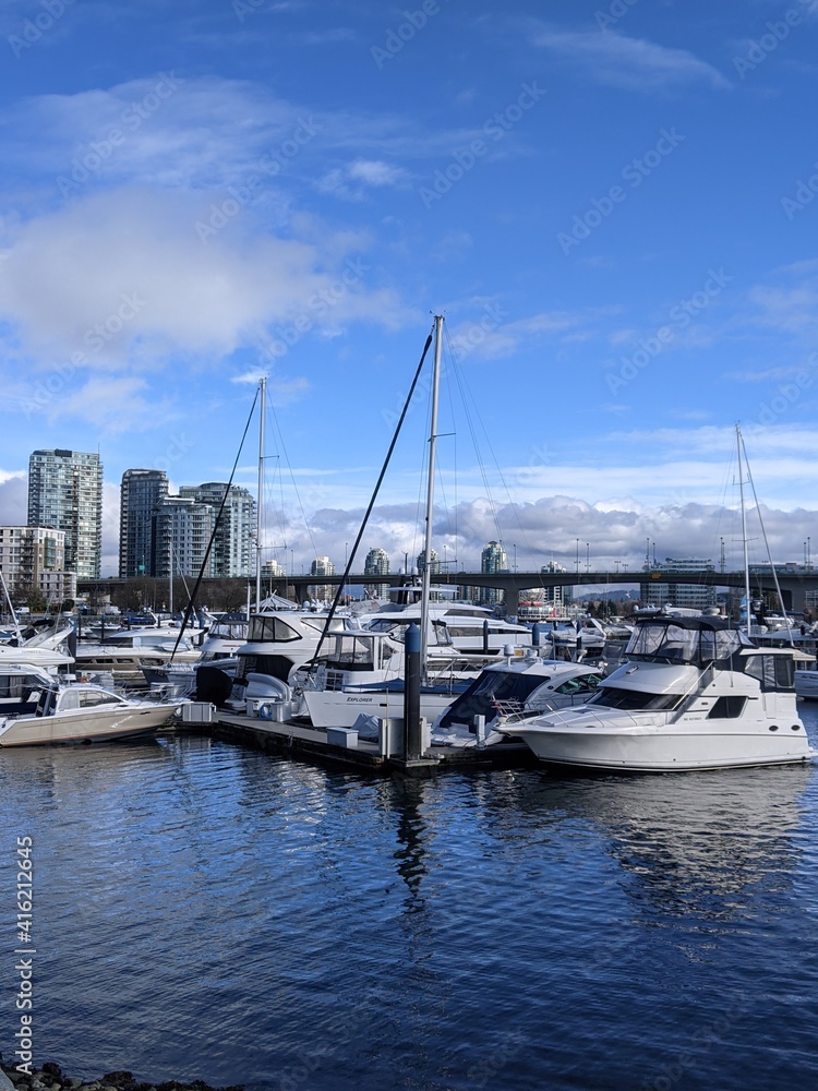 Vancouver marina harbor sunny day