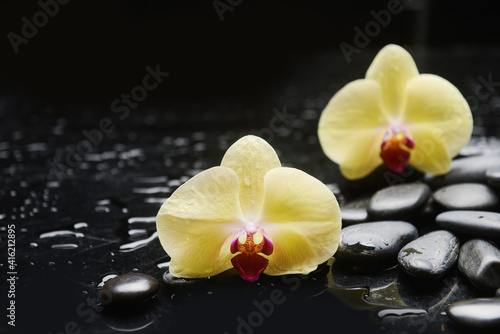 spa still life of with two yellow orchid  and zen black stones  wet background 