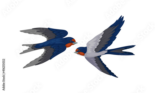 Swallow or Martin as Passerine Bird with Long Pointed Wings Vector Set