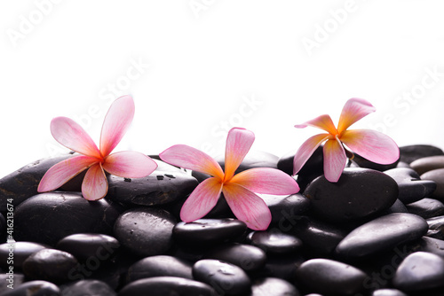 Beautiful spa setting of yellow orchid  and green leaves  on pile of long bamboo stem background  
