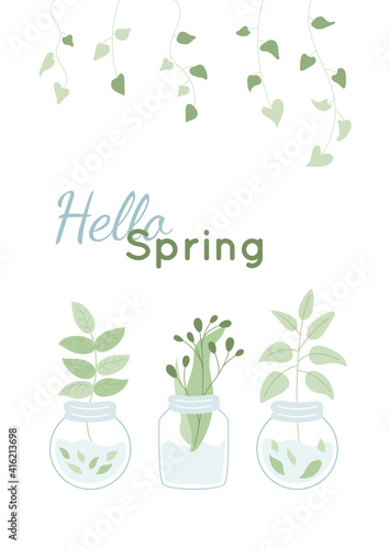 Hello summer vertical card, banner with fresh leaves in glass jars with water. Vector illustration. Liana foliage and branches collection. Design template with text.