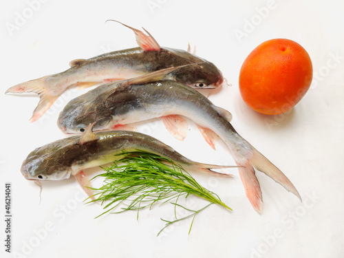 Gafftopsail Cat Fish Fish decorated with herbs and vegetables .Selective Focus. photo