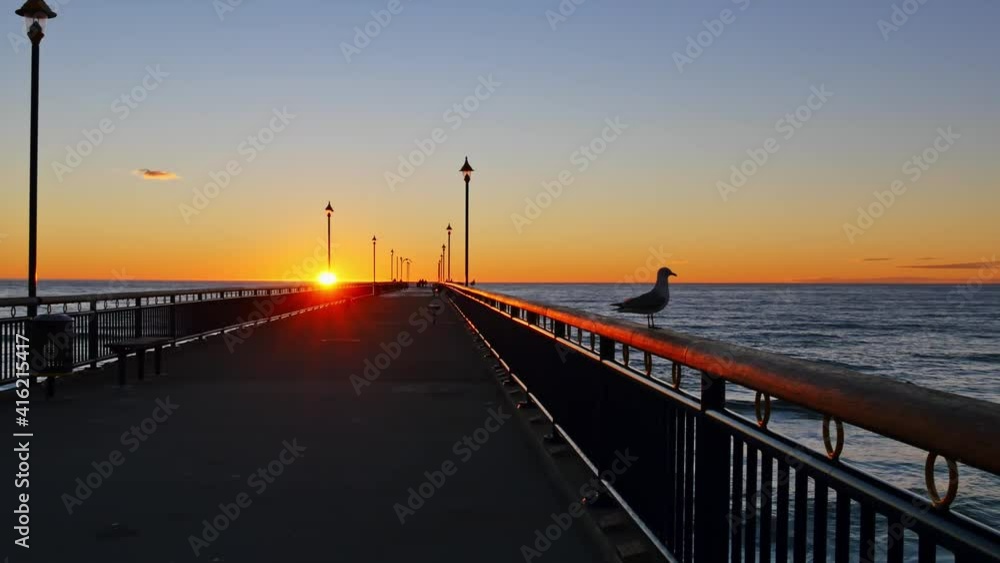 A seagull staying at the fence of the promenade of New Brighton Pier at sunrise A seagull staying at the fence of the promenade of New Brighton Pier at sunrise