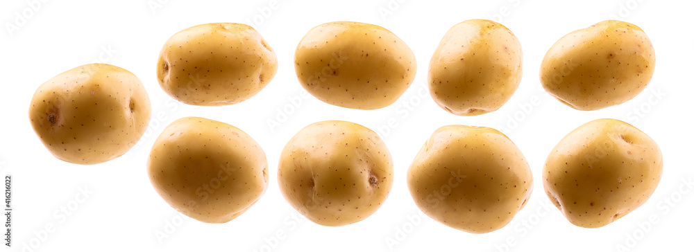 A set of potatoes. Isolated on a white background