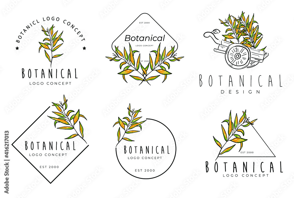 Hand drawn botanical floral logo design in a minimal modern package collection