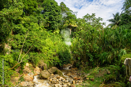 Landscape view on trail to the Trafalgar waterfalls. Morne Trois Pitons National Park, Dominica, Leeward Islands photo