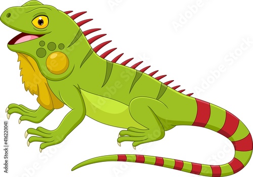 Cartoon iguana isolated on white background