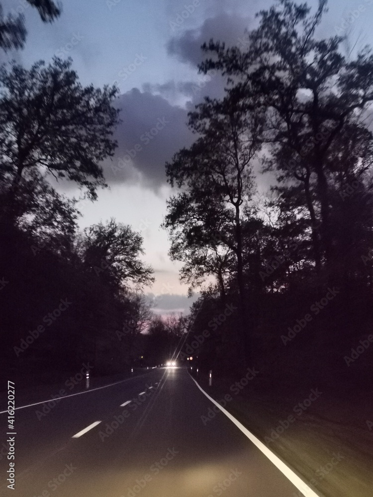 Fototapeta premium country road in the evening