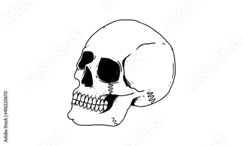 skull side view isolated on white background. outlined cartoon drawing of creepy, gothic, death icon for tattoo, poster, halloween theme, etc.