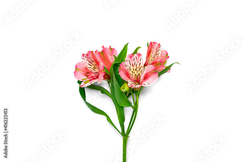 bouquet of alstroemeria flowers isolated on white background Top view Flat lay Floral holiday card 8 March, Happy Valentine's day, Mother's day, Spring concept Mock up