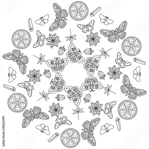 Simple Mandala Shape for Coloring. Vector Mandala. Circular. Flower. Oriental. Coloring Book Page. Outline.
