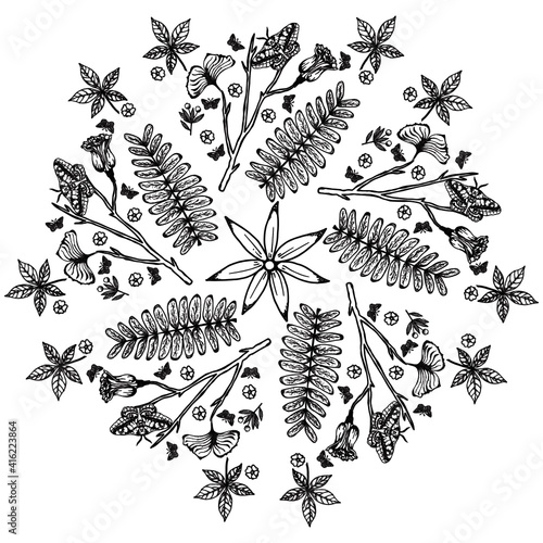 Simple Mandala Shape for Coloring. Vector Mandala. Circular. Flower. Oriental. Coloring Book Page. Outline.
