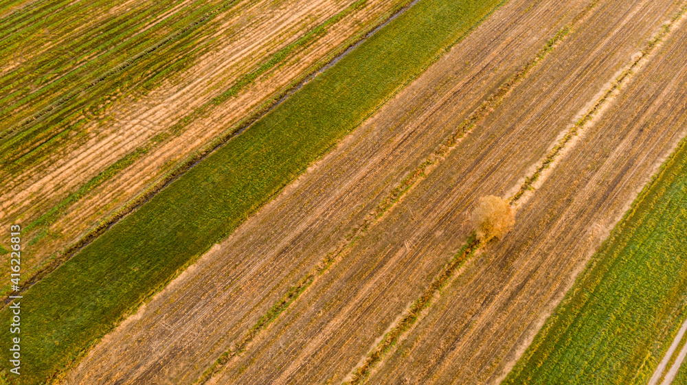 Drop down view of field afte harvest with lonely tree casting shadow. Drop down view of field afte harvest with lonely tree casting shadow.